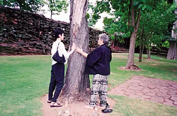 Scarboro missioner Dorothy Novak and her Buddhist friend Bee renew their energies during a day's outing by standing barefoot and touching a tree. Thailand.